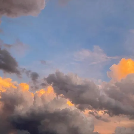 Les Herbes Flottantes