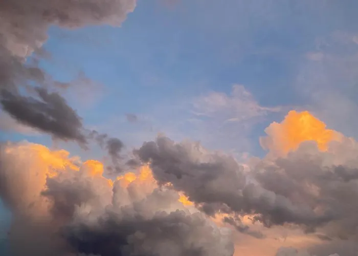 Les Herbes Flottantes