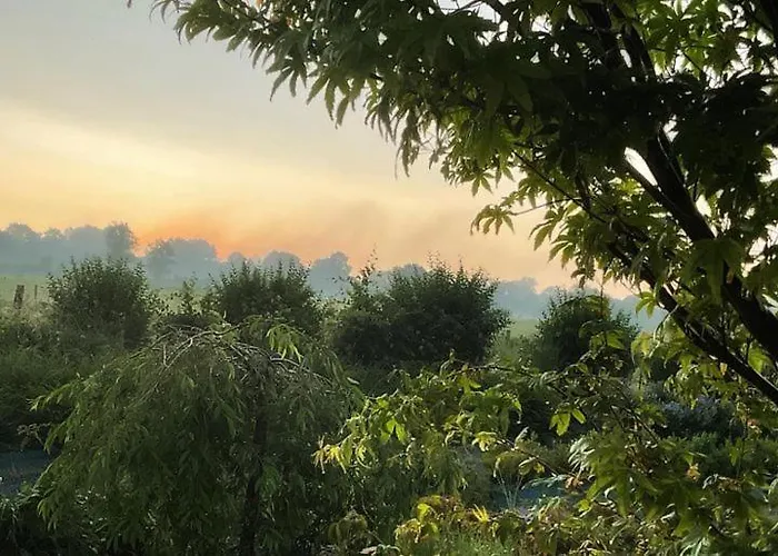 Les Herbes Flottantes